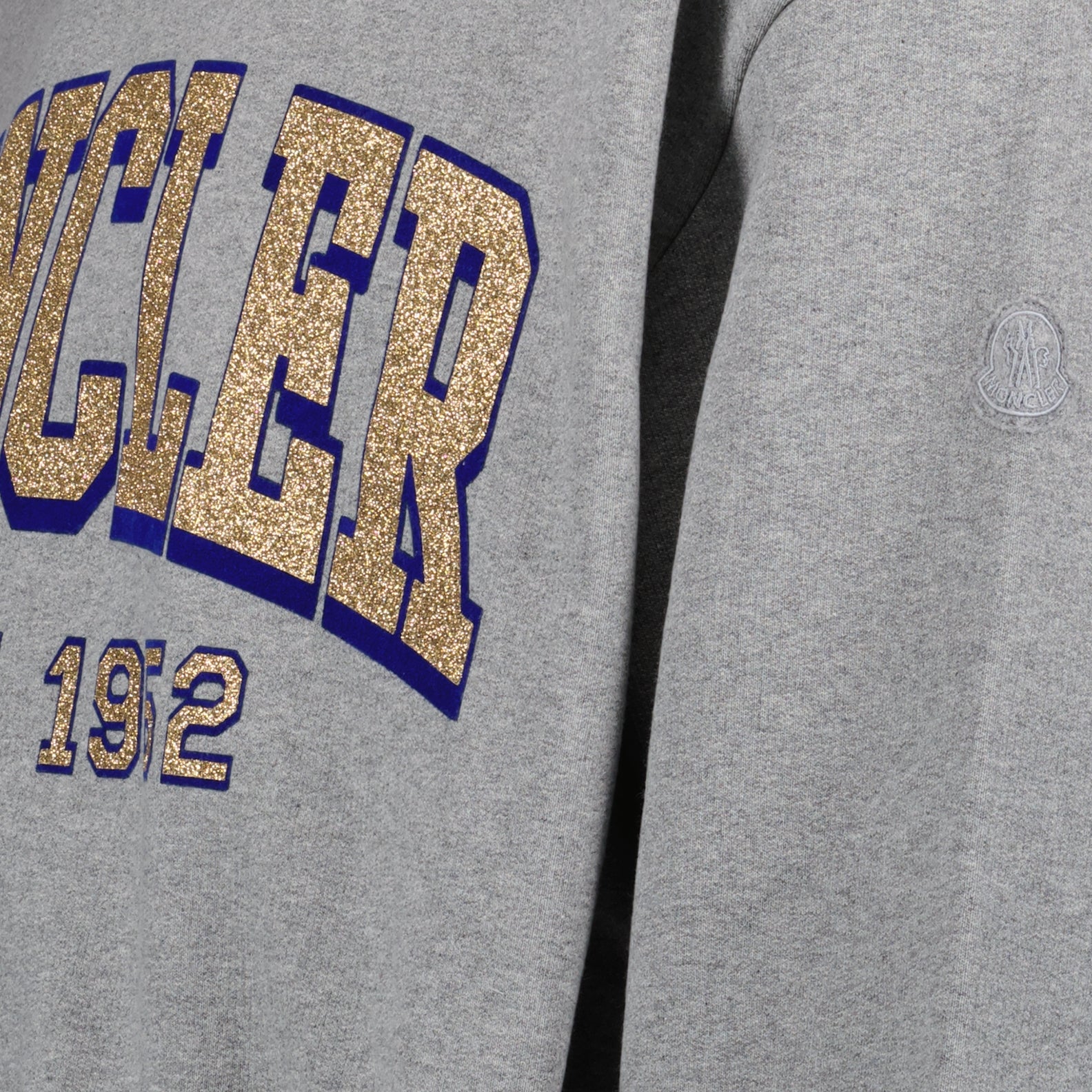 Sweatshirts Logo Sweatshirt Moncler Gray Man