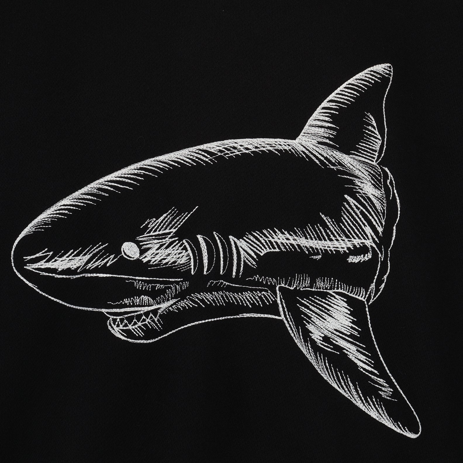 Sweatshirts Sweatshirt Broken Shark Palm Angels Noir Homme