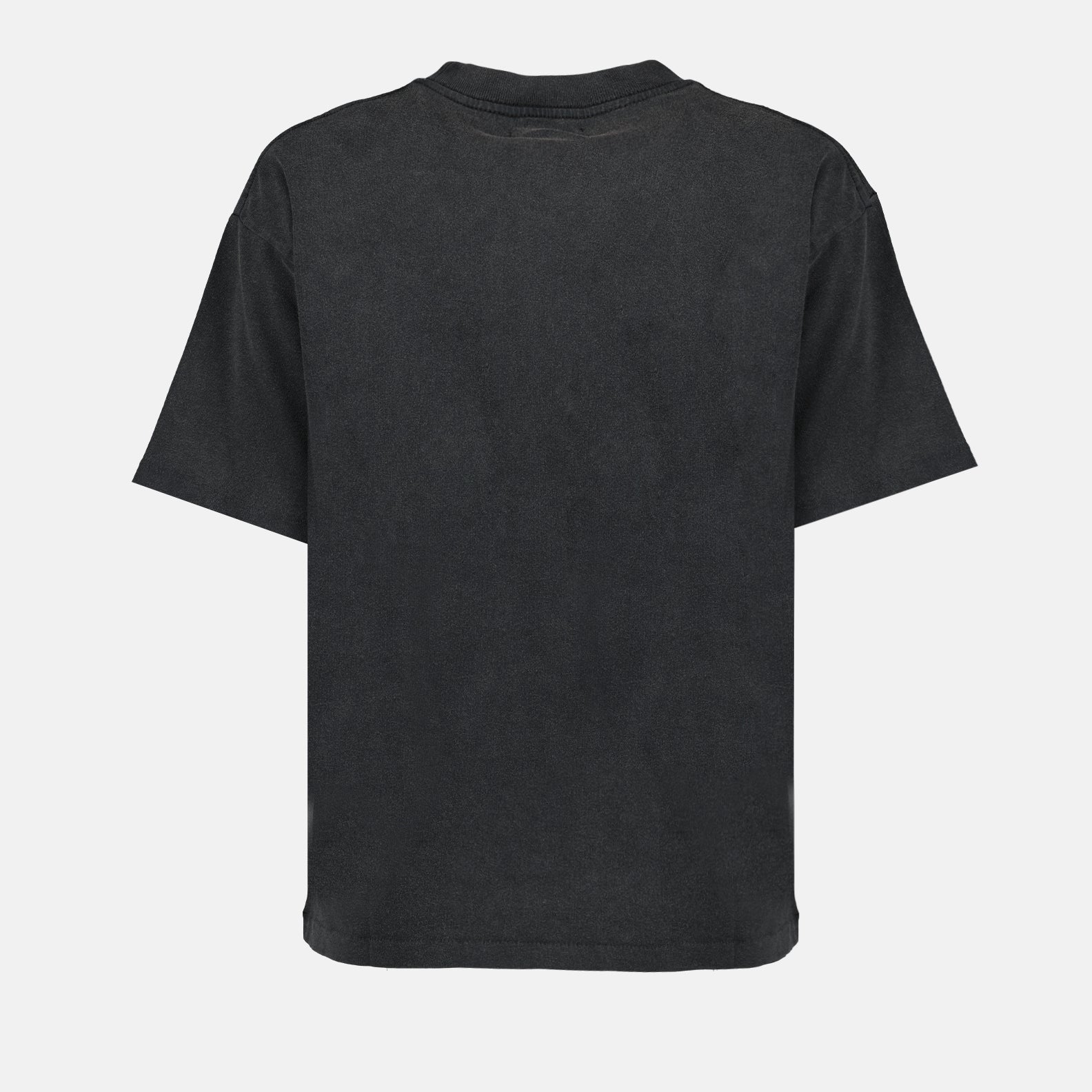 T-shirts T-shirt imprimé Tigre Anine Bing Gris Femme