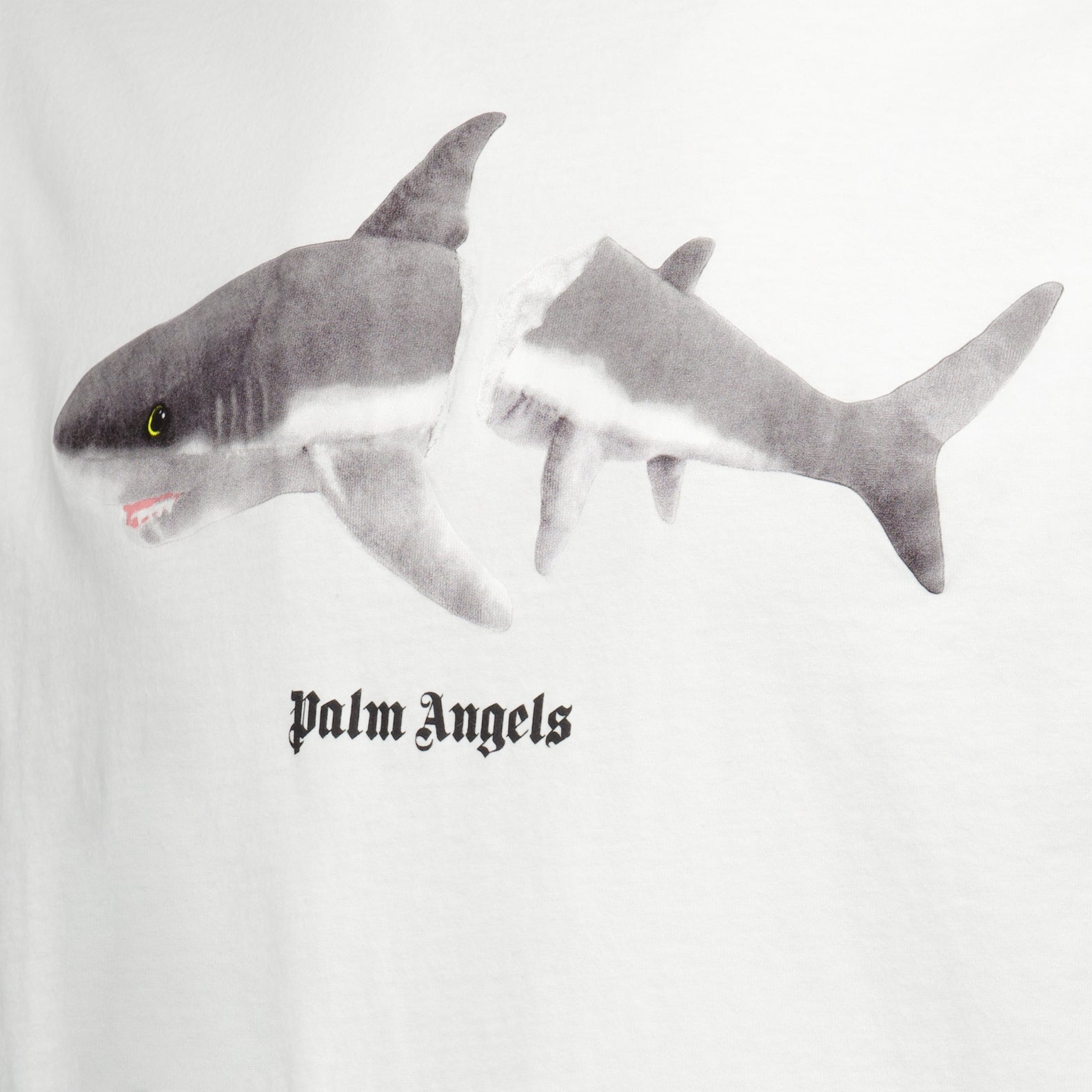 T-shirts T-shirt Broken Shark Palm Angels Blanc Homme